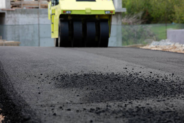 Best Driveway paver repairs and maintenance in Louisville, MS